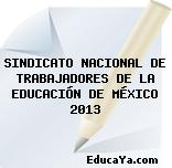 SINDICATO NACIONAL DE TRABAJADORES DE LA EDUCACIÓN DE MÉXICO 2013