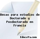 Becas para estudios de Doctorado y Posdoctorado en Francia