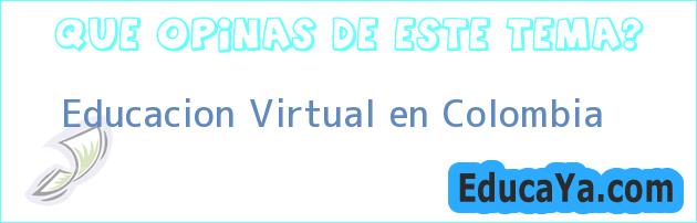 Educacion Virtual en Colombia