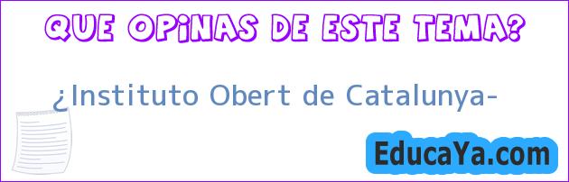 ¿Instituto Obert de Catalunya?