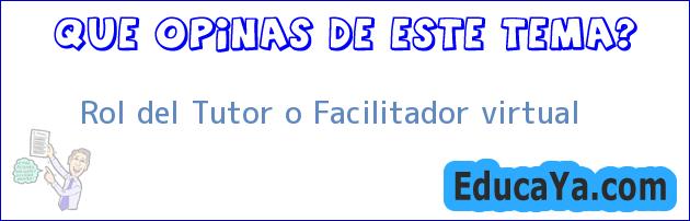 Rol del Tutor o Facilitador virtual