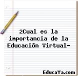 ¿Cual es la importancia de la Educación Virtual?