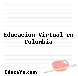 Educacion Virtual en Colombia