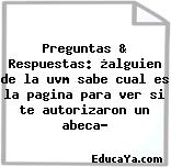 Preguntas & Respuestas: ¿alguien de la uvm sabe cual es la pagina para ver si te autorizaron un abeca?