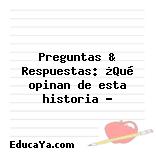 Preguntas & Respuestas: ¿Qué opinan de esta historia ?