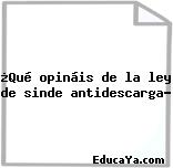 ¿Qué opináis de la ley de sinde antidescarga?