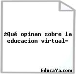 ¿Qué opinan sobre la educacion virtual?