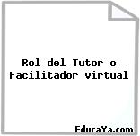 Rol del Tutor o Facilitador virtual