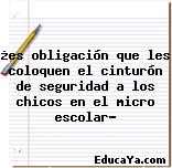 ¿es obligación que les coloquen el cinturón de seguridad a los chicos en el micro escolar?