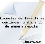 Escuelas de Tamaulipas continúan trabajando de manera regular