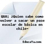 Q&A: ¿Quien sabe como volver a sacar un pase escolar de básica en chile?