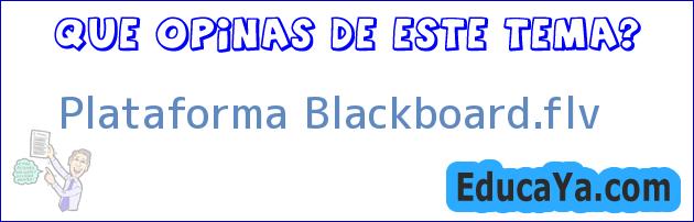 Plataforma Blackboard.flv