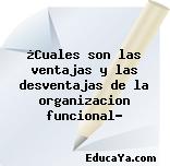 ¿Cuales son las ventajas y las desventajas de la organizacion funcional?