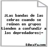 ¿Las bandas de las cebras cuando se reúnen en grupos tienden a confundir a los depredadores:?