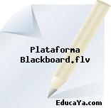 Plataforma Blackboard.flv