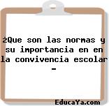 ¿Que son las normas y su importancia en en la convivencia escolar ?