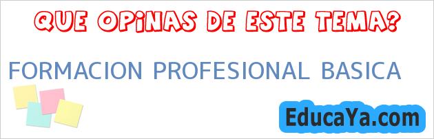 FORMACION PROFESIONAL BASICA