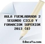 AULA FUENLABRADA 2 SEGUNDO CICLO Y FORMACION SUPERIOR 2013 (8)