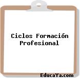 Ciclos Formación Profesional