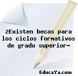 ¿Existen becas para los ciclos formativos de grado superior?