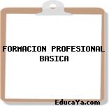 FORMACION PROFESIONAL BASICA