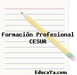 Formación Profesional CESUR