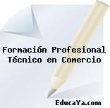 Formación Profesional Técnico en Comercio