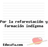 Por la reforestación y formación indígena