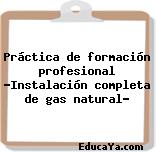 Práctica de formación profesional «Instalación completa de gas natural»