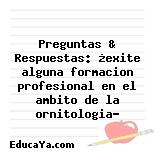 Preguntas & Respuestas: ¿exite alguna formacion profesional en el ambito de la ornitologia?