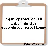 ¿Que opinas de la labor de los sacerdotes catolicos?