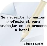 Se necesita formacion profesional para trabajar en un crucero o hotel?