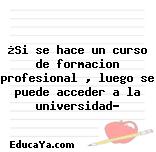 ¿Si se hace un curso de formacion profesional , luego se puede acceder a la universidad?