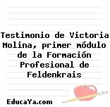 Testimonio de Victoria Molina, primer módulo de la Formación Profesional de Feldenkrais