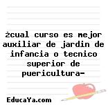 ¿cual curso es mejor auxiliar de jardin de infancia o tecnico superior de puericultura?