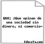 Q&A: ¿Que opinan de una sociedad sin dinero, ni comercio?