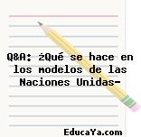 Q&A: ¿Qué se hace en los modelos de las Naciones Unidas?