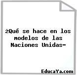 ¿Qué se hace en los modelos de las Naciones Unidas?