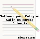 Software para Colegios Gafin en Bogota Colombia