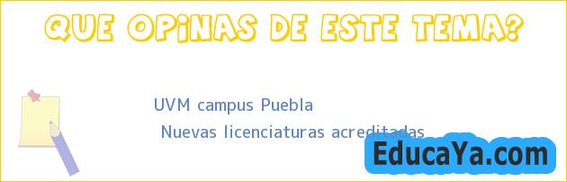 UVM campus Puebla | Nuevas licenciaturas acreditadas