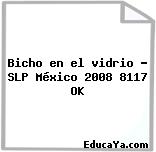 Bicho en el vidrio – SLP México 2008 8117 OK