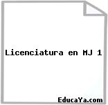 Licenciatura en MJ 1