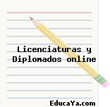 Licenciaturas y Diplomados online