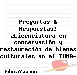 Preguntas & Respuestas: ¿Licenciatura en conservación y restauración de bienes culturales en el IUNA?