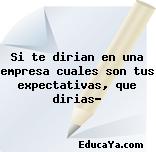 Si te dirian en una empresa cuales son tus expectativas, que dirias?