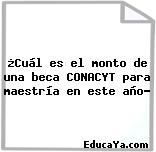 ¿Cuál es el monto de una beca CONACYT para maestría en este año?