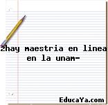 ¿hay maestria en linea en la unam?