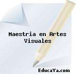 Maestria en Artes Visuales