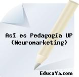 Así es Pedagogía UP (Neuromarketing)