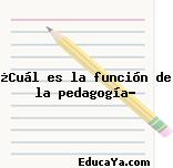 ¿Cuál es la función de la pedagogía?